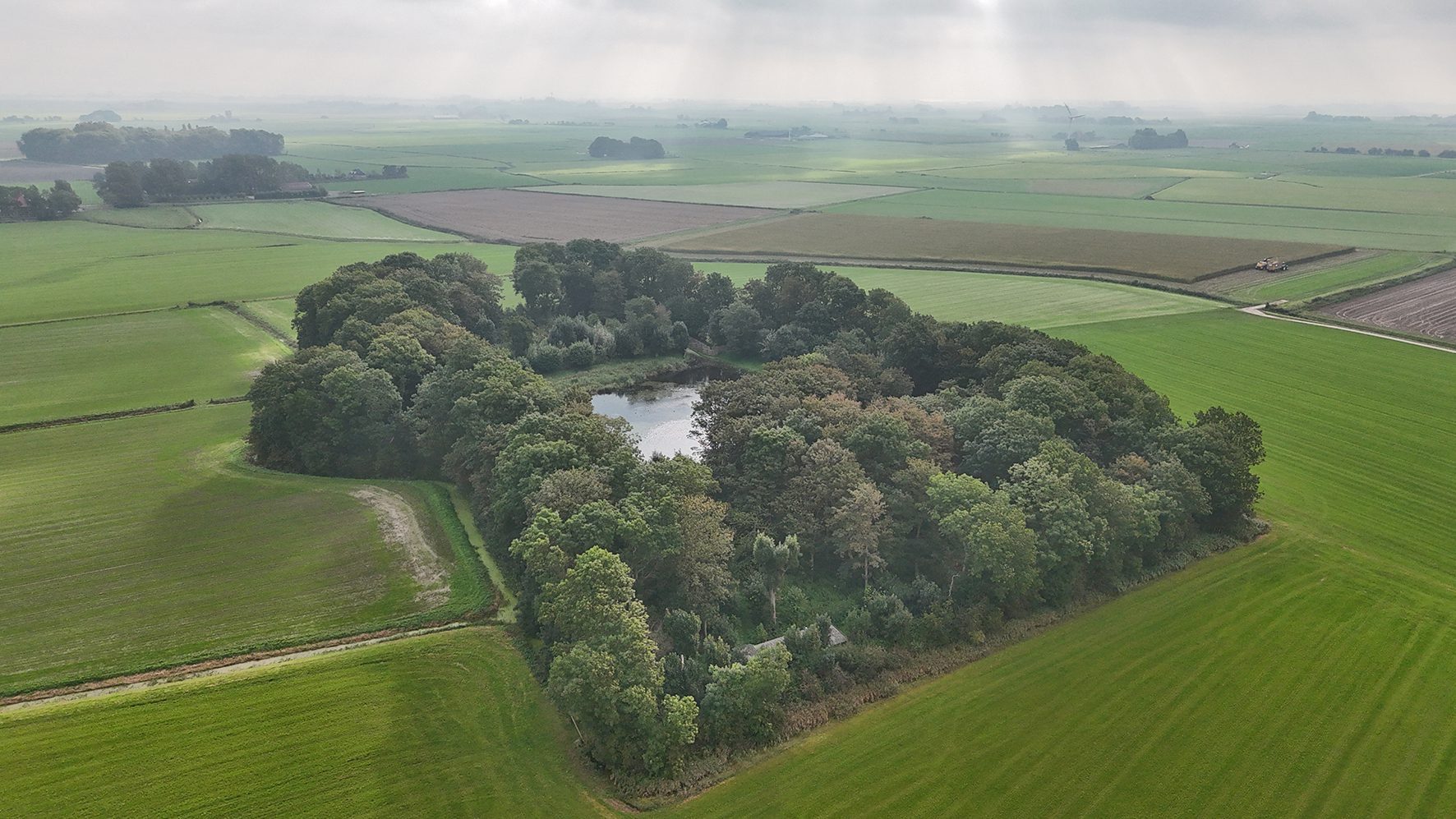 buismanskoai piaam