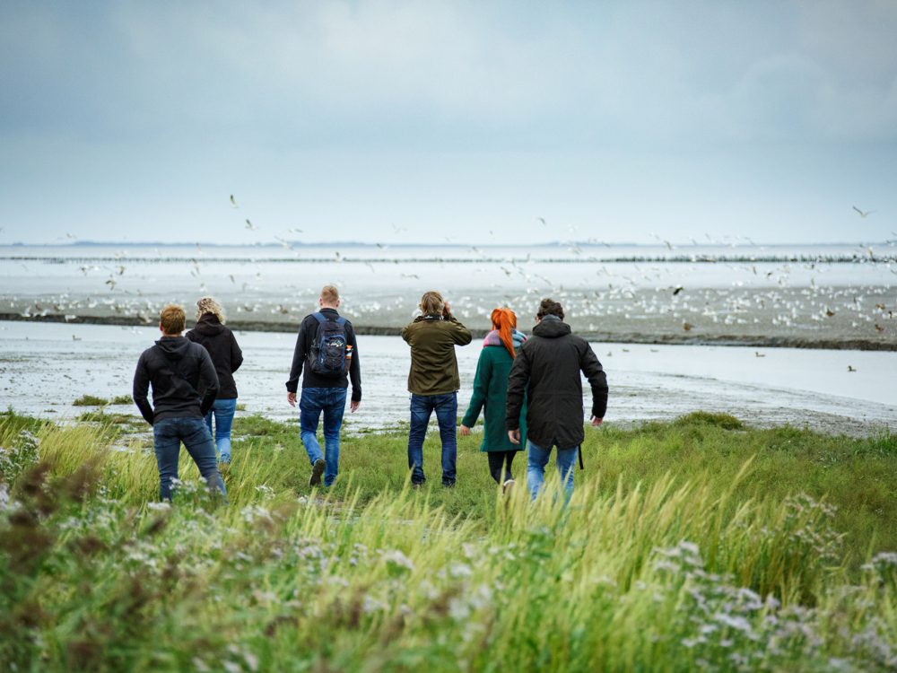 noard fryslan butendyks noarderleech noard fryslan butendyks noarderleech