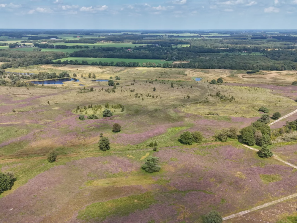 delleboersterheide