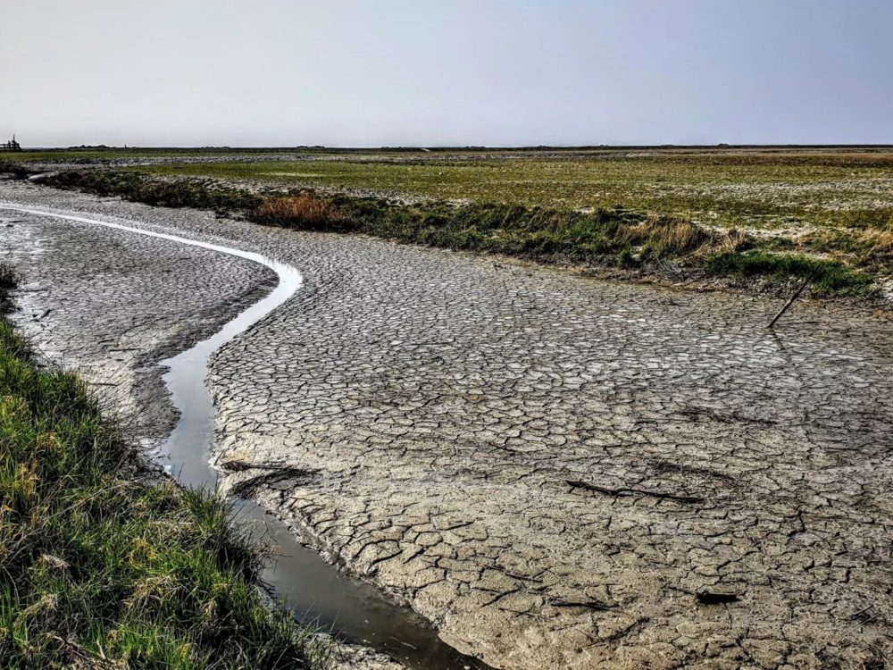 kwelderkrachten noard fryslan butendyks kwelderkrachten noard fryslan butendyks