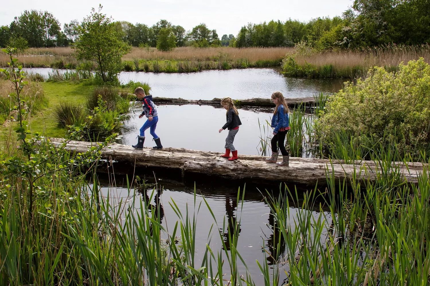 alde feanen