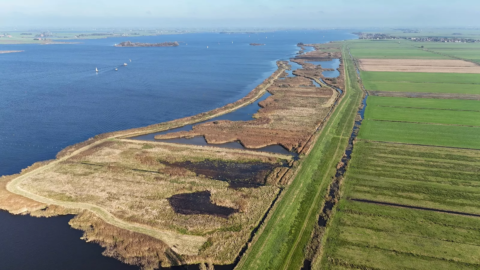 : Succesvol natuurherstel in Friese meren De Fluezen en De Morra