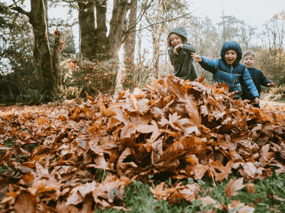 herfstvakantie-kids-1