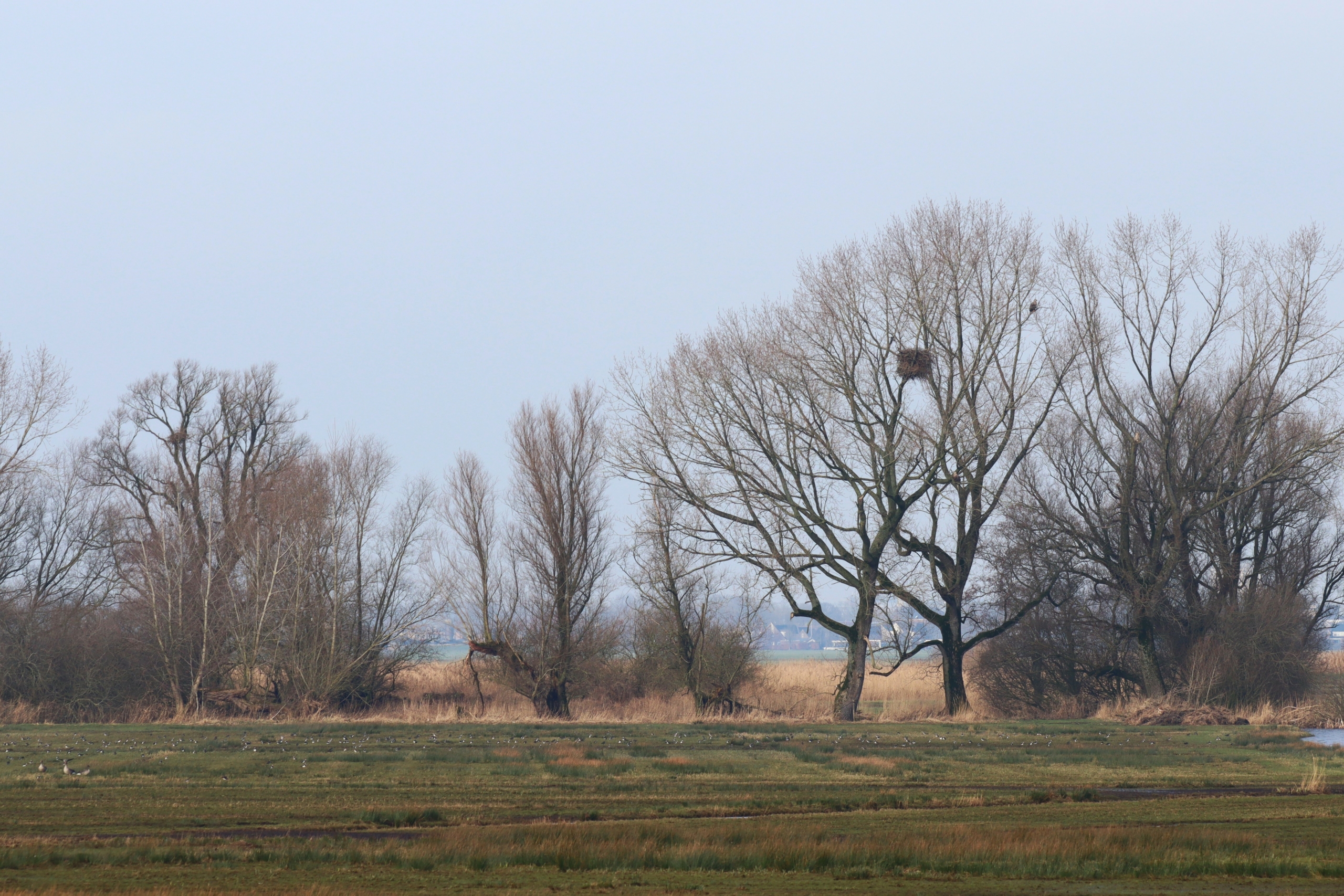 za-nestlocatie-2024-andries-scaled