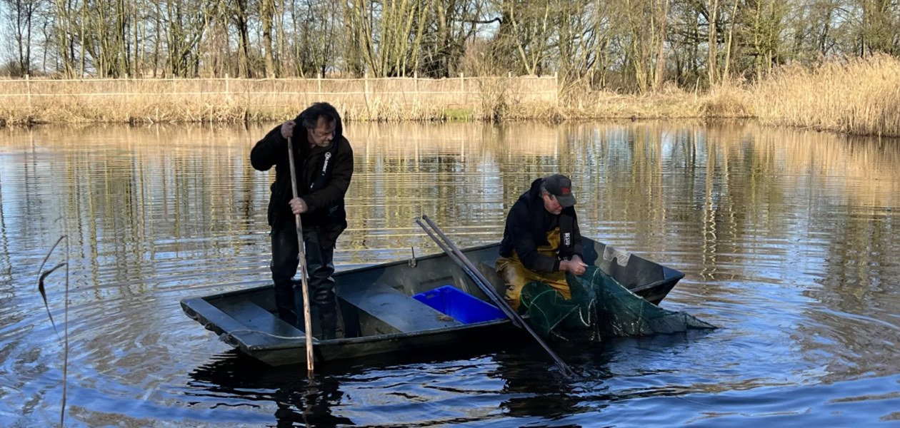 rivierkreeften in de Grutte Wielen