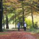 excursie wilhelmina oard wandelen