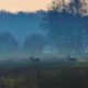 wandelen ketlikerheide excursie