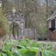 wandel excursie martenastate