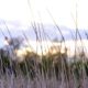 excursie wandelen it eilan