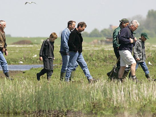 excursie Workumerwaard