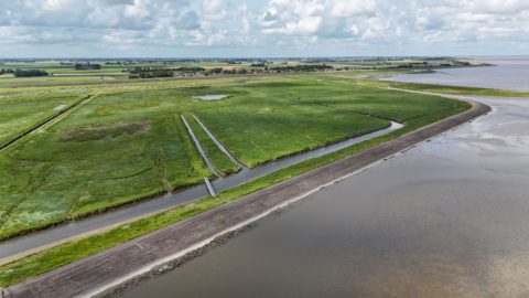 : Impuls voor natuur en beleving op kwelder Peazemerlannen