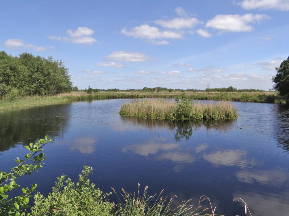 Zichtbeeld_vogelkijkhut_Wikelslân