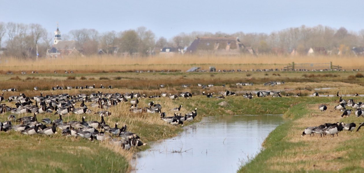 Eanjumerkolken