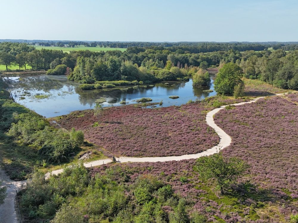 Mandefjild van boven