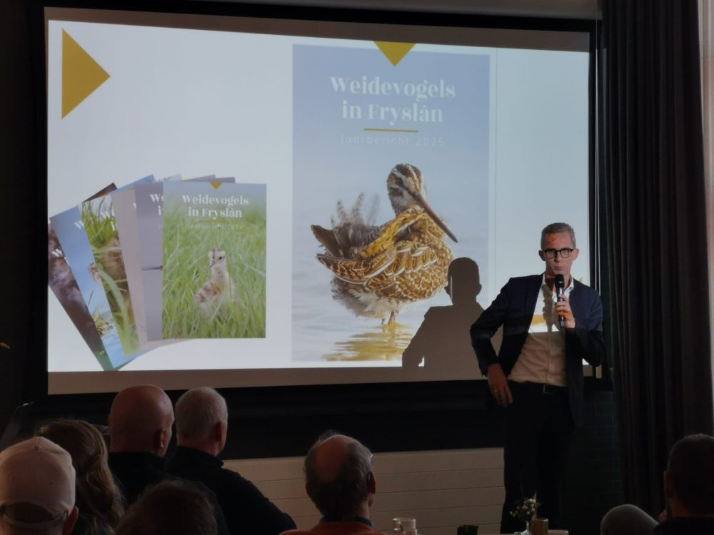 Weidevogel bericht