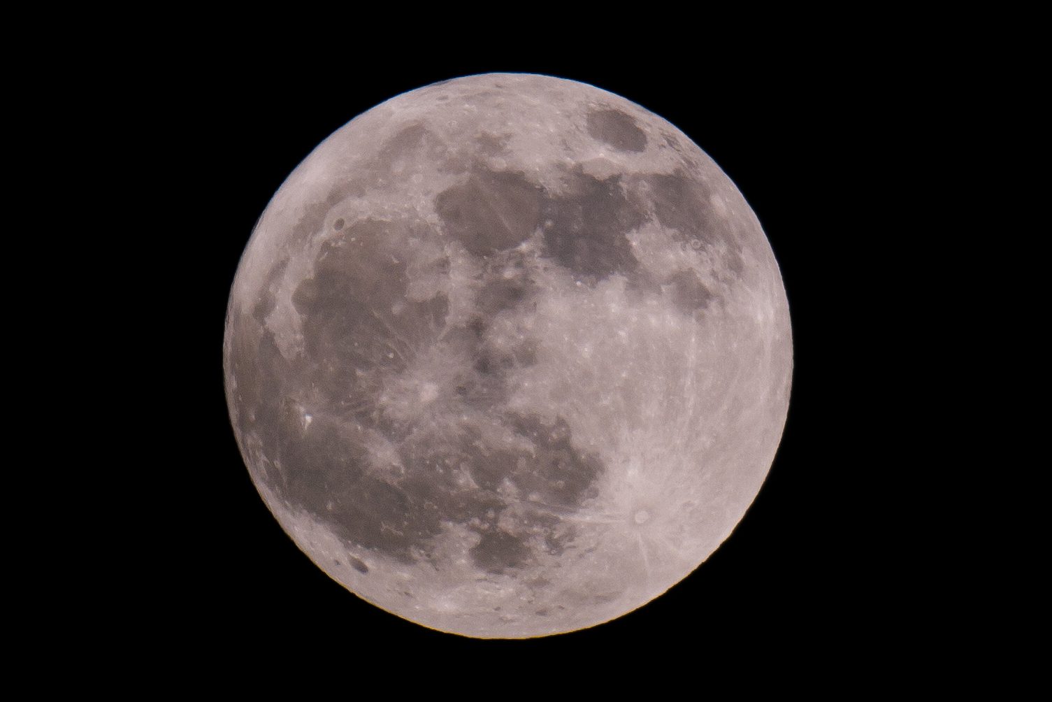 Vollemaan excursie
