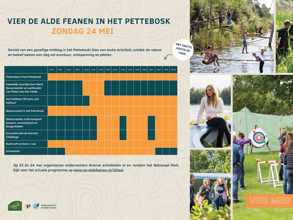 Blokkenschema Vier de Alde Feanen