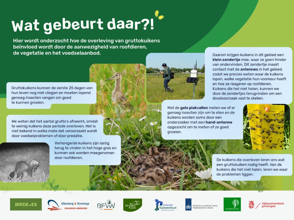 infobord focusgebieden