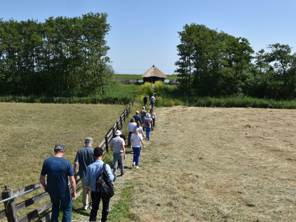 Lopen naar vogelkijkhut De Mok