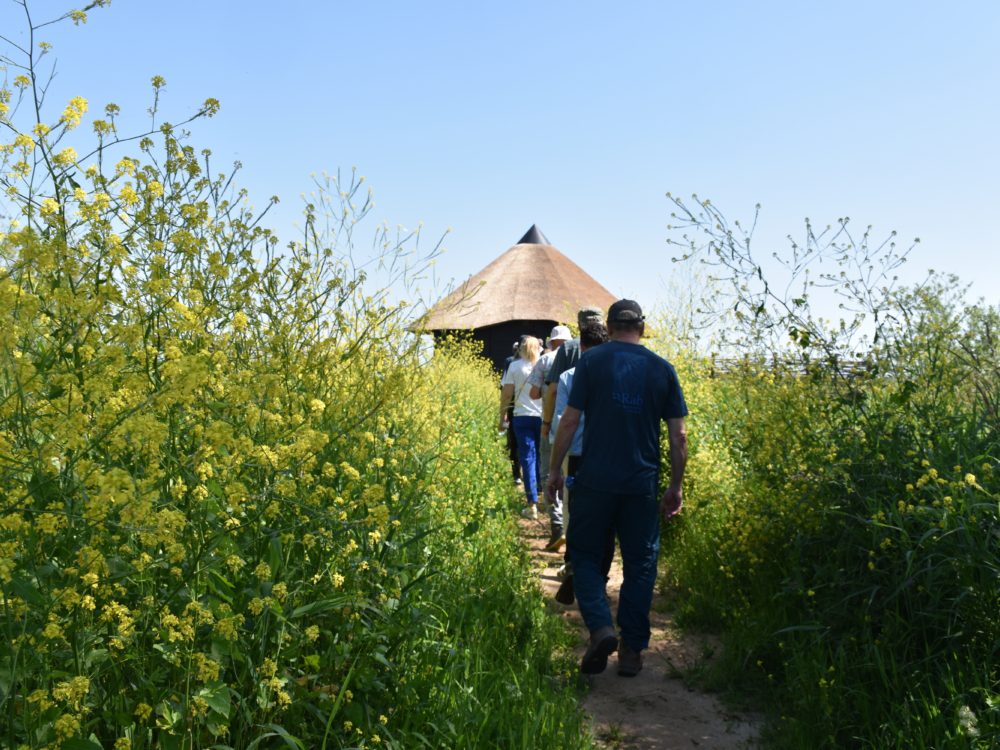 Op weg naar De Mok