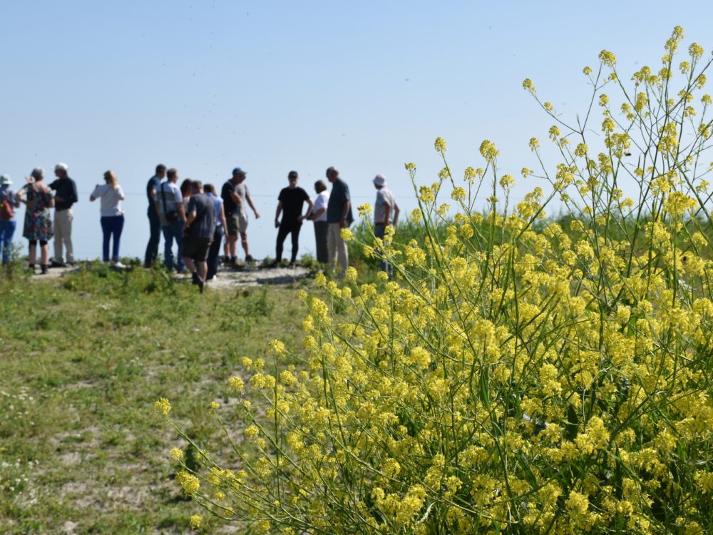 Nabij het IJsselmeer