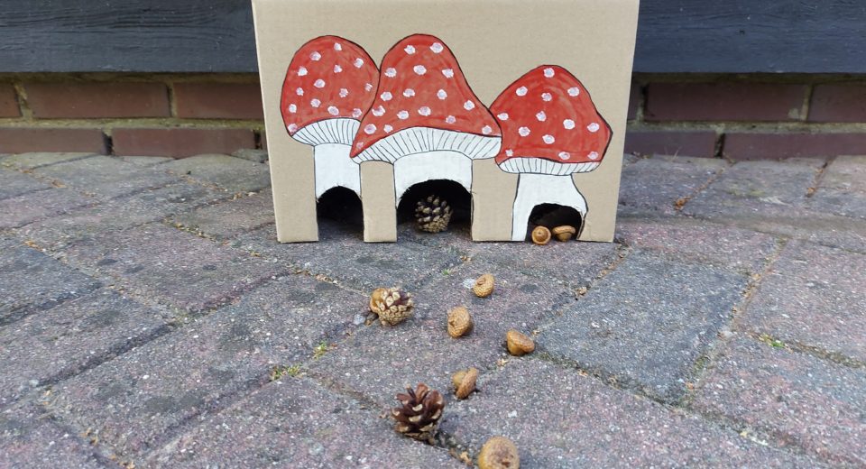 DIY paddenstoelenspel