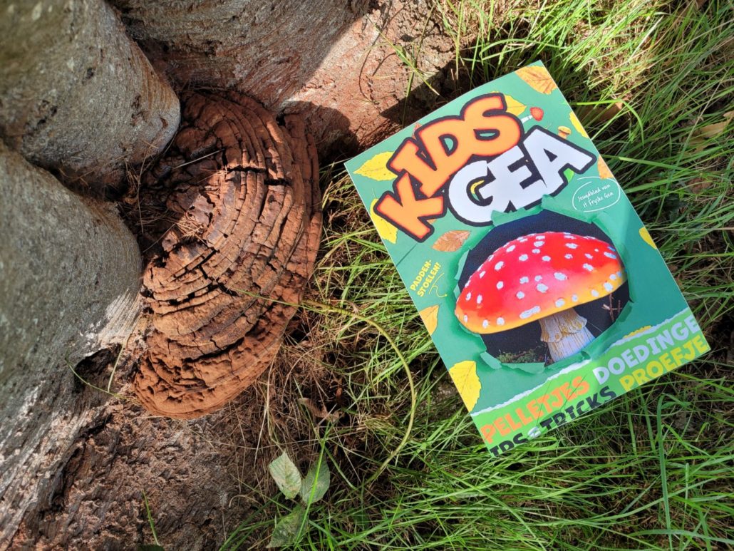 KidsGea cover