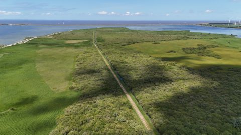 Bericht: Werk aan Makkumer Noardwaard van start